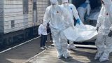 Киевский режим не был готов к приему 6 тысяч тел украинских военных — Азаров