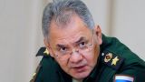 Российская армия методично снижает боевой потенциал ВСУ — Шойгу о потерях ВСУ